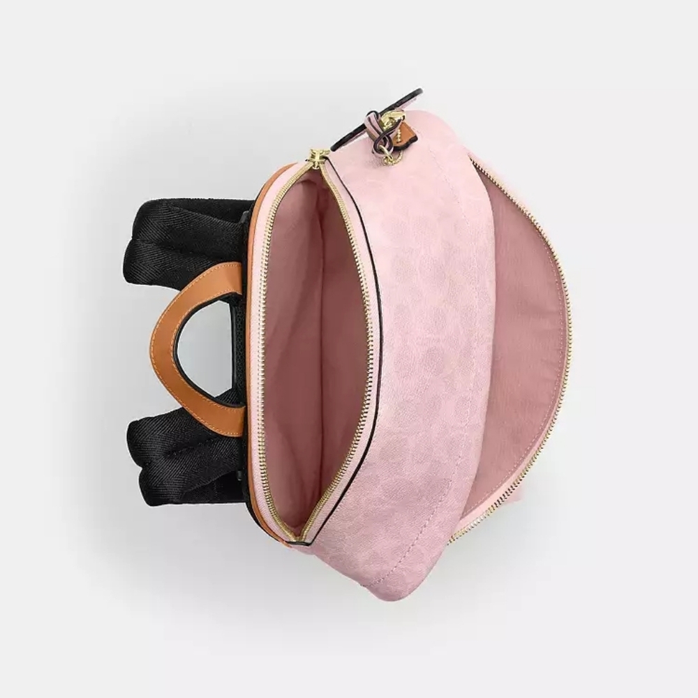 New!🩷 Taylor Small BackpackIn Signature Canvas With Charms - Picture 4 of 7